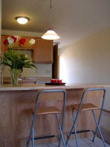 Apartments for rent-The 4111-Kitchen Photo2