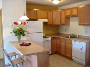 Apartments for rent-The 4111-Kitchen Photo